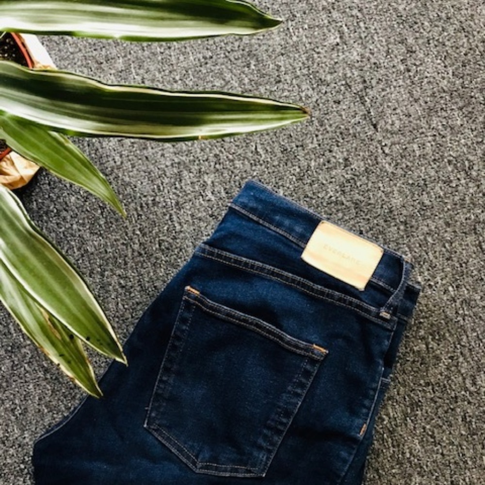 Everlane Authentic Stretch High-Rise Skinny - sz 8